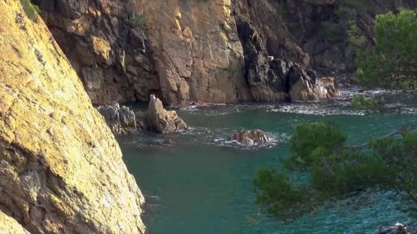 Typowe Nadmorskie Hiszpańskim Wybrzeżu Costa Brava Pobliżu Małej Wioski Fosca — Wideo stockowe