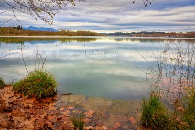 Beautiful lake in a Spanish village Banyoles in Catalonia clipart