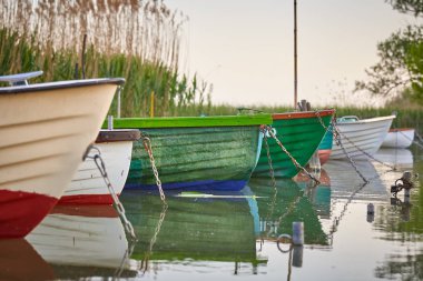 Balıkçı tekneleri Harbor
