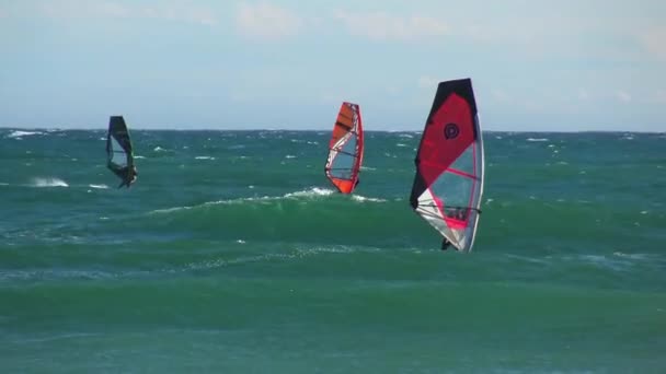 Vindsurfare Spanska Costa Brava Nära Staden Palamos Blåsig Dag — Stockvideo