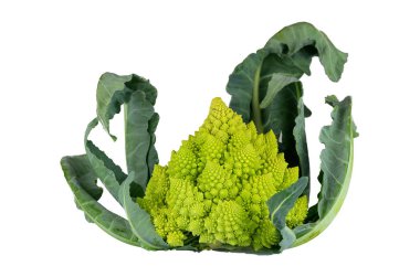 Özel şekil Roma Karnabahar (Brassica oleracera izole resim)