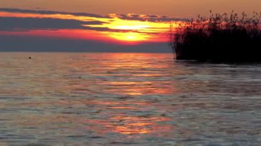 Macaristan Balaton Gölü güzel günbatımı ışığı