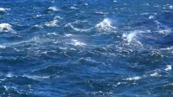 青い水の上の風の強い日 — ストック動画