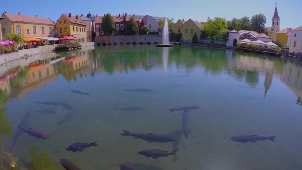 Kleiner See Aus Einer Kleinen Stadt Tapolca Ungarn — Stockvideo