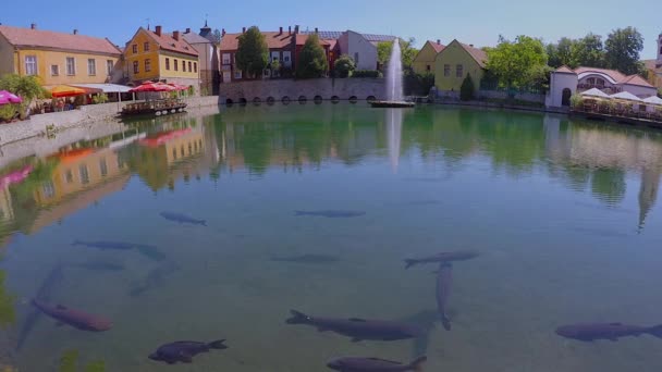 Kleiner See Aus Einer Kleinen Stadt Tapolca Ungarn — Stockvideo