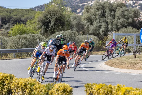 Konkurrenter till de Volta Road cykling i Katalonien på scenen 3 (från Sant Feliu de Guixols till Vallter 200) 27. 03. 2019 Spanien — Stockfoto