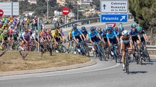 Competidores del Volta Road Cycling en Cataluña en la etapa 3 (de Sant Feliu de Guixols a Vallter 200) 27. 03. España 2019 — Foto de Stock