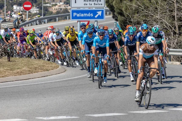 Teilnehmer des Volta-Straßenradfahrens in Katalonien auf der 3. Etappe (von sant feliu de guixols nach vallter 200) 27. 03. Spanien 2019 — Stockfoto
