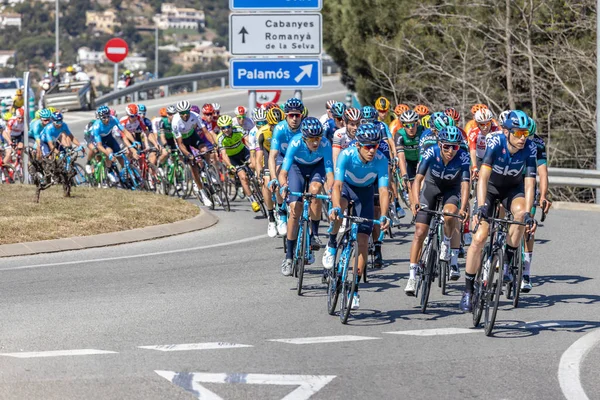 Competidores del Volta Road Cycling en Cataluña en la etapa 3 (de Sant Feliu de Guixols a Vallter 2000) 27. 03. España 2019 — Foto de Stock