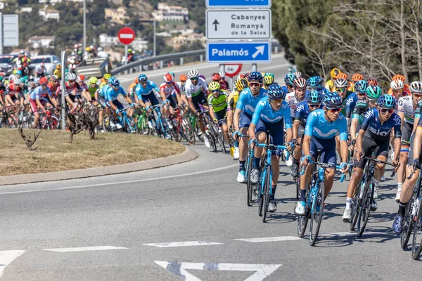 Competitors of the Volta Road Cycling in Catalonia on the stage 3 (from Sant Feliu de Guixols to Vallter 200) 27. 03. 2019 Spain — Stock Photo, Image