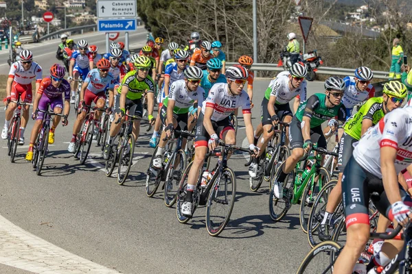 Sahne Alanı'ndaki 3 (gelen Sant Feliu de Guixols Vallter 2000) Volta yol bisiklet, İspanya Rakip 27. 03. 2019 İspanya — Stok fotoğraf