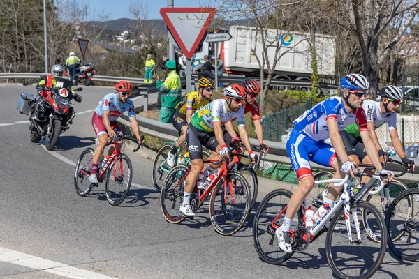 Competidores del Volta Road Cycling en Cataluña en la etapa 3 (de Sant Feliu de Guixols a Vallter 2000) 27. 03. España 2019 — Foto de Stock