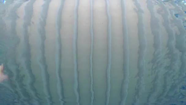 Hombre Caucásico Mediana Edad Nadando Agua Piscina Palamos España — Vídeo de stock