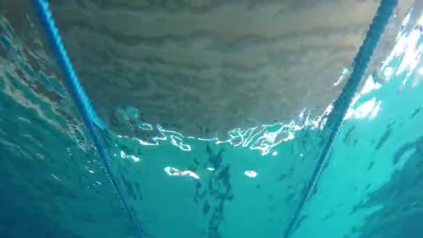 Μεσήλικα Καυκάσιος Άνθρωπος Που Κολυμπάει Στο Νερό Στην Πισίνα Στο — Αρχείο Βίντεο