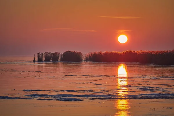 Pôr do sol de inverno sobre o lago Balaton da Hungria — Fotografia de Stock