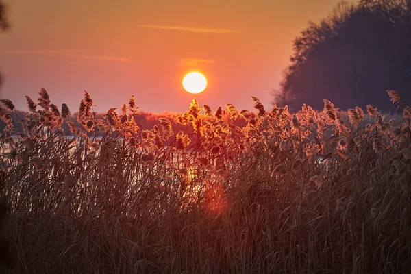 Tramonto invernale sul lago Balaton d'Ungheria — Foto Stock