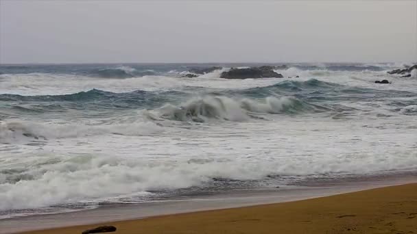 コスタブラバの春のスペイン沿岸の大きな波 町パラモスの近く — ストック動画