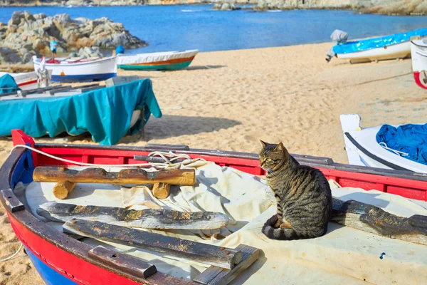 Traditionelle boote in einer spanischen stadt calella de palafrugell an der costa brava. — Stockfoto