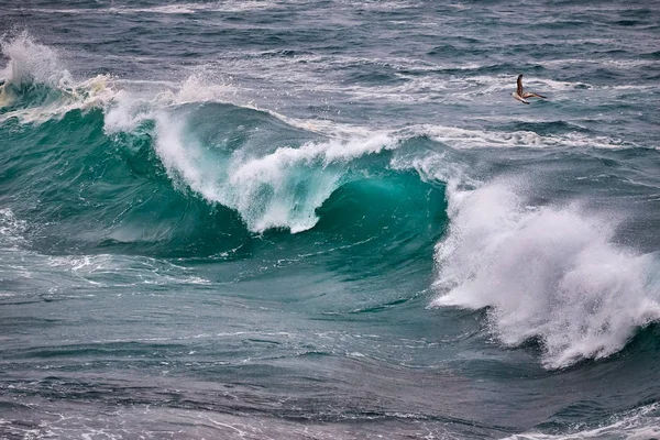 Grandi onde sull'oceano in una giornata ventosa — Foto Stock