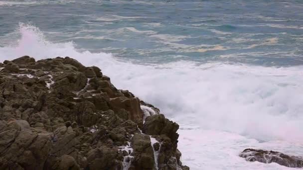 Stora Vågor Spansk Kust Vid Våren Costa Brava Nära Staden — Stockvideo