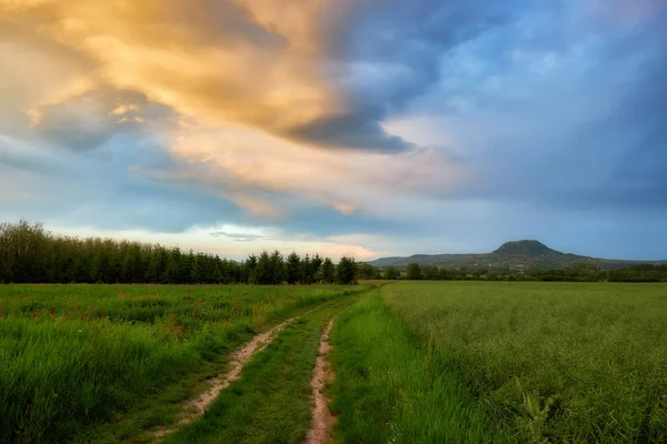 Schöne ungarische Landschaft mit Straße im Frühling am Abend — Stockfoto