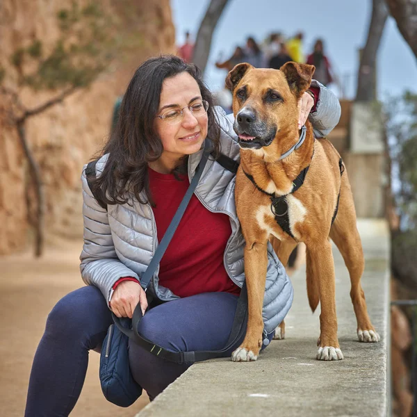 Menina bonita com um cão marrom — Fotografia de Stock