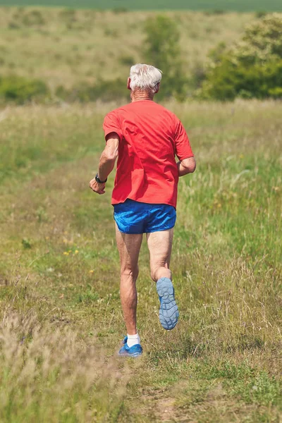 İlkbaharda çayırda koşan kıdemli koşucu