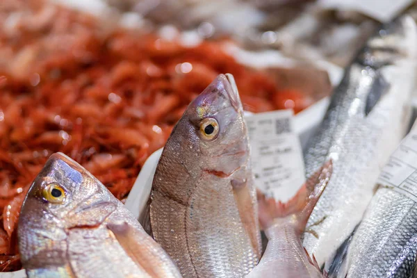 Fiskar på en marknad i Costa Brava i Spanien — Stockfoto