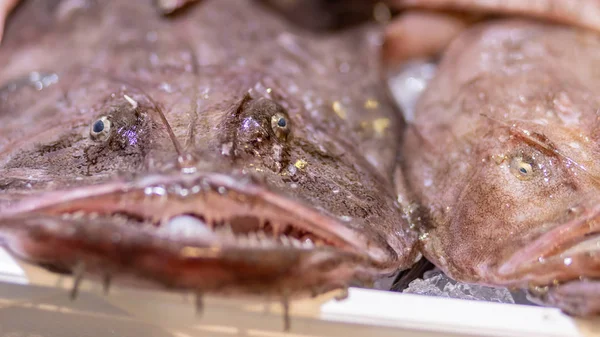 Fiskar på en marknad i Costa Brava i Spanien — Stockfoto