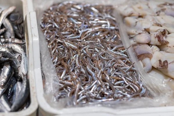 İspanya'da Costa Brava bir pazarda Balıklar — Stok fotoğraf