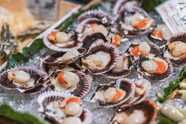 Vissen in een markt in Costa Brava in Spanje — Stockfoto