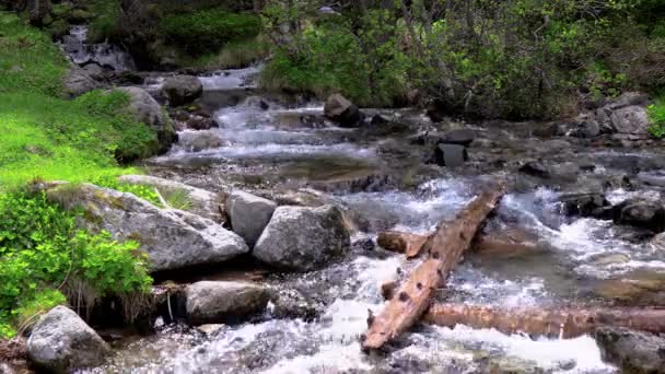 Abounding Mountain Creek Pyrenees Mountain Spain — Stock Video