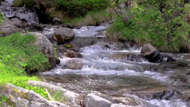 スペインのピレネー山脈から山の小川があふれる — ストック動画