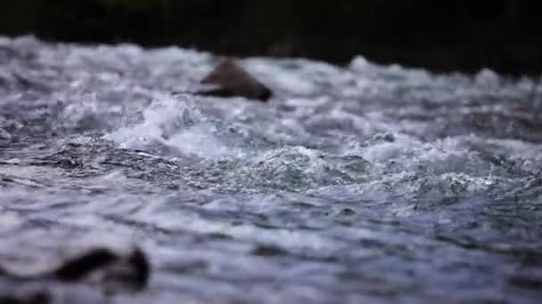 Overvloedig Mountain Creek van een Pyreneeën berg in Spanje, slow motion beelden — Stockvideo