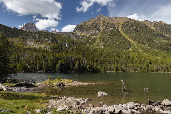Katalonya 'daki Ispanyol Pireneleri 'ndeki güzel Aiguestortes i Estany de Sant Maurici Milli Parkı