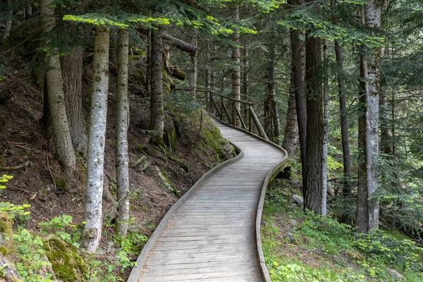 Caminho de madeira agradável de Aig =estortes i Estany de Sant Maurici National Park em uma montanha Pirenéus espanhol — Fotografia de Stock