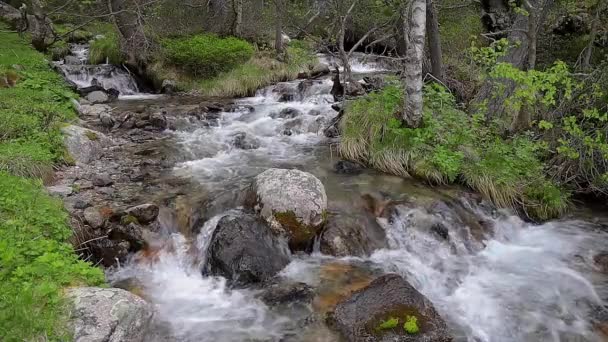 Изобилие Горного Ручья Горы Пиренеи Испании Замедленные Съёмки — стоковое видео