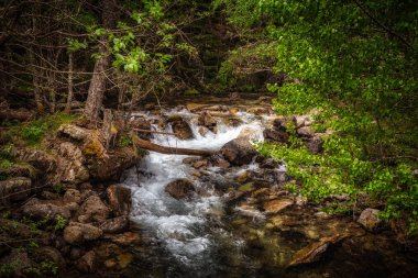 Güzel Aiguestortes i Estany de Sant Maurici Ulusal Parkı Katalonya 'daki İspanyol Pireneleri Dağı