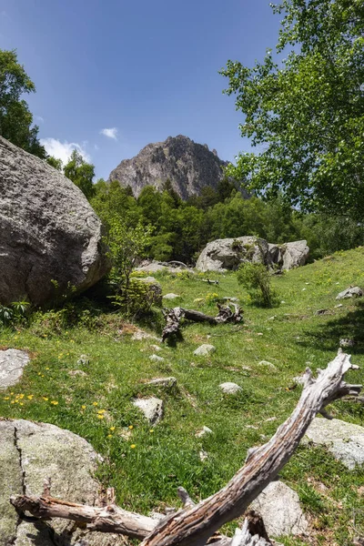 Piękny park narodowy Aiguestortes i Estany de Sant Maurici na hiszpańskiej górze Pireneje w Katalonii — Zdjęcie stockowe