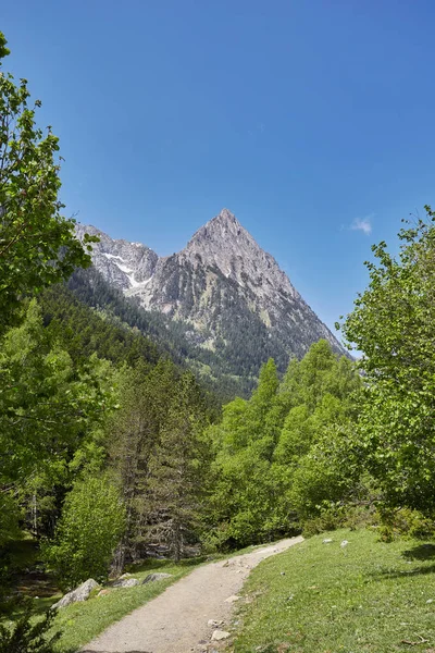 Strada in una bellissima Aiguestortes i Estany de Sant Maurici Parco Nazionale dei Pirenei Spagnoli montagna in Catalogna — Foto Stock