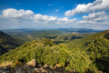 İspanya'da Montseny dağında güzel sonbahar kayın ormanı, Viladrau yakınlarında