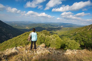 İspanya'da Montseny dağında güzel sonbahar kayın ormanı, Viladrau yakınlarında