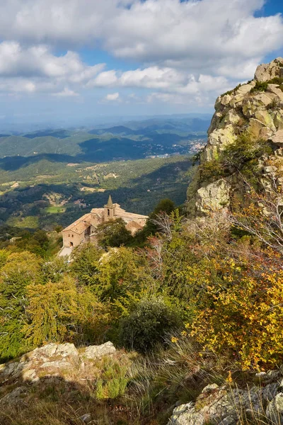 Hermoso bosque de hayas de otoño en Montseny montaña en España, cerca de Viladrau — Foto de Stock