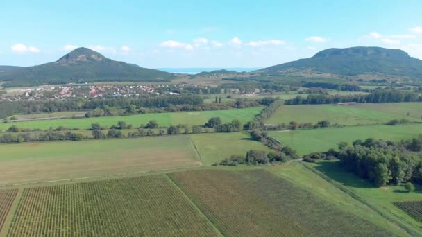 Landwirtschaftliche Luftaufnahme Aus Einer Ungarischen Landschaft Der Nähe Des Balatons — Stockvideo