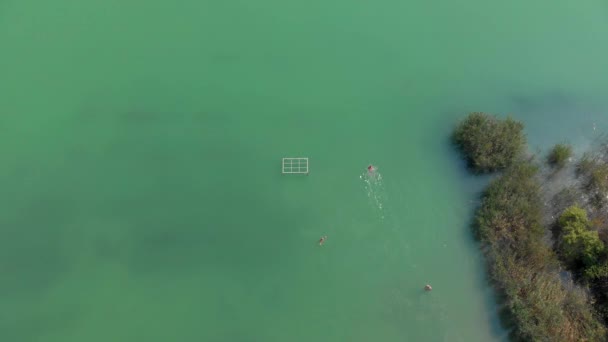 Aerial Drone Picture People Swimming Lake Balaton Hungary — Stock Video