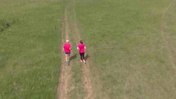 Aîné Son Petit Enfant Courent Dans Prairie Des Images Aériennes — Video