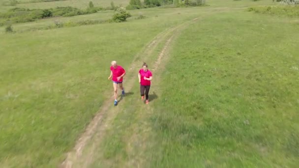 Senior Und Sein Enkelkind Rennen Auf Der Wiese Luftaufnahmen — Stockvideo