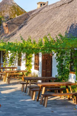 Güneşli bir günde geleneksel Macar evi