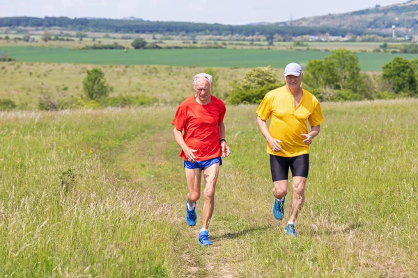 Senior-Läufer läuft mit erwachsenem Sohn auf Wiese — Stockfoto