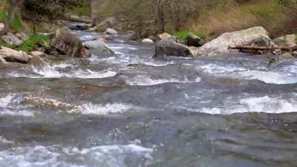 Reich Flussdetails Mit Nahaufnahme Von Felsen Den Spanischen Pyrenäen — Stockvideo